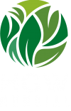 LOGO HGW MUNDIAL HEALTH GREEN WORLD